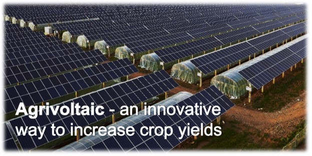 Агровольтаическая Система SolarSK (Высокая Конструкция)